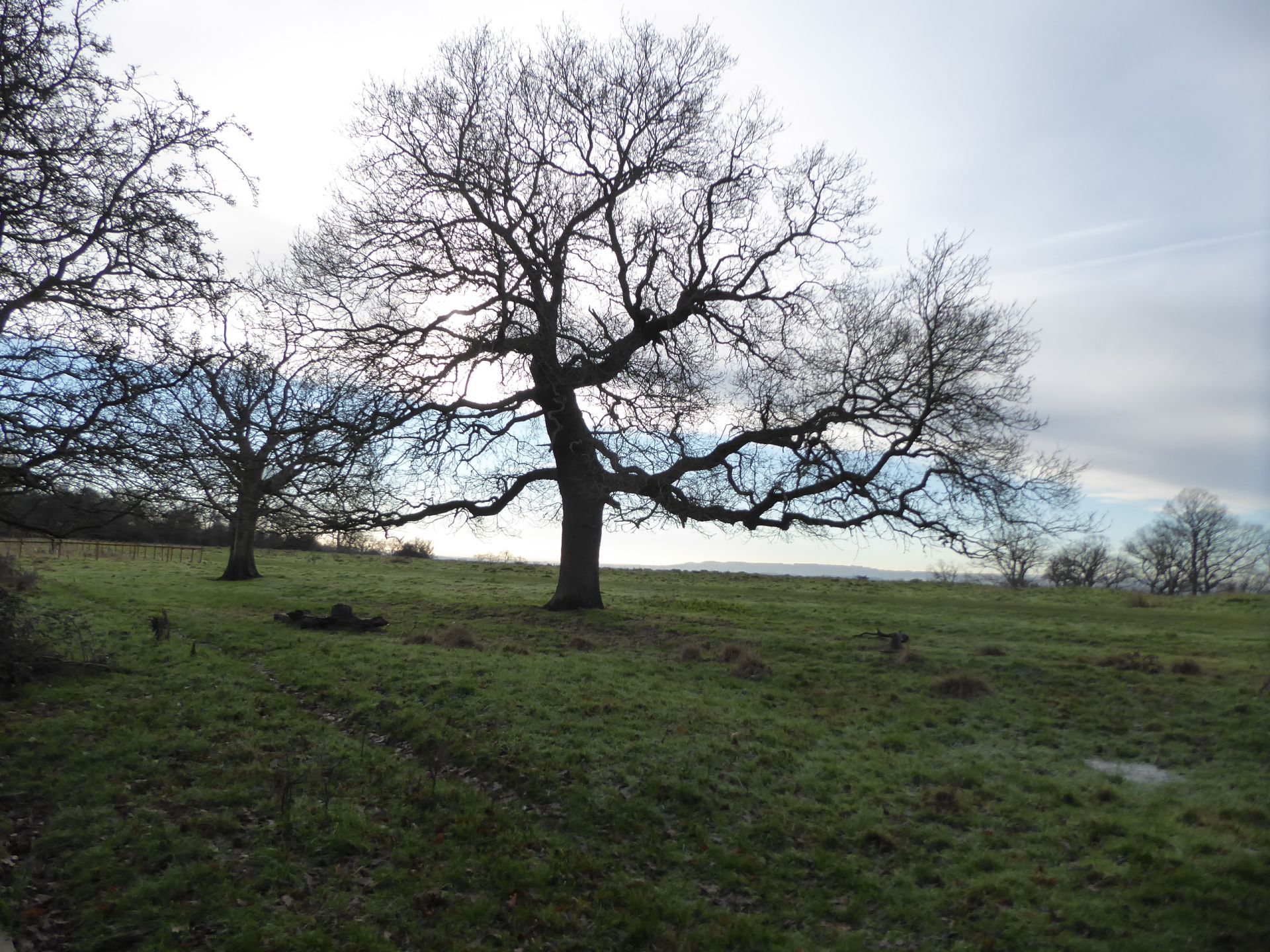 View of Welcombe Hills and Snitterfield